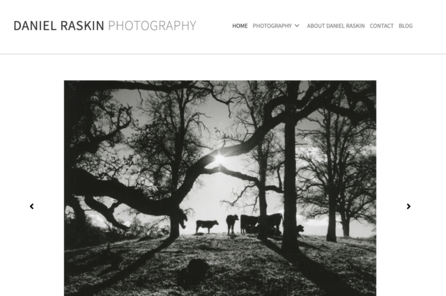 Website for Daniel Raskin Photography by Kojolapower